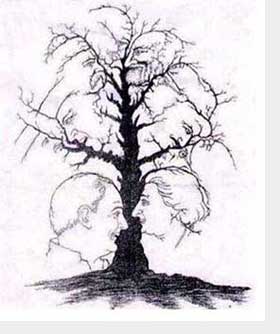 How Many Faces