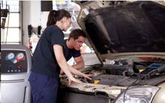 Know Where And How Hard To Tap With The Hammer!